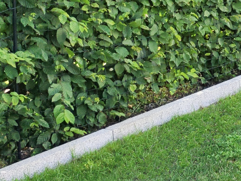 Gazonranden graniet Silver Classico schrg met gazon