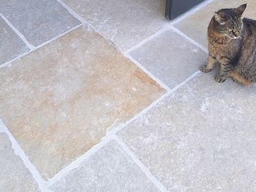 Kalksteen_Java_Sand_Cat_Galerij 1