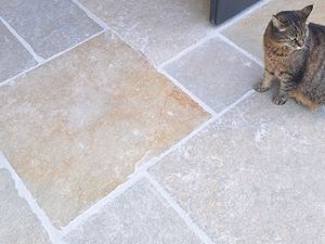 Kalksteen_Java_Sand_Cat_Galerij 1