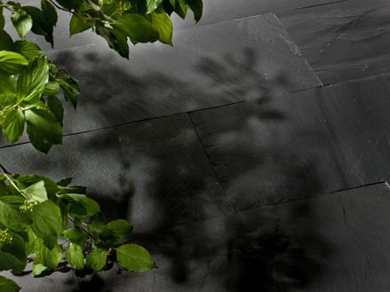 Split Black Rustieke platen en natuurlijke takken