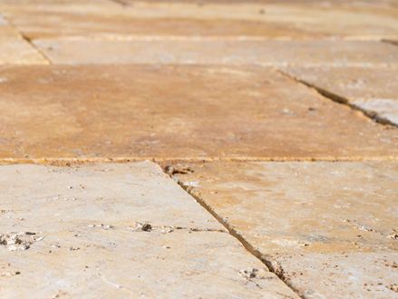 Detail van travertin gouden platen in het uiterwaardengebied vanuit het perspectief van de kikker