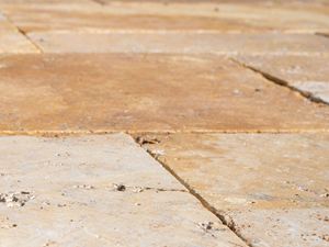 Detail van travertin gouden platen in het uiterwaardengebied vanuit het perspectief van de kikker