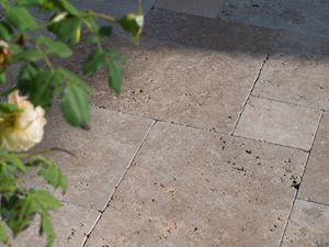 De late namiddagzon speelt op de terrasvloer, takken steken van rechts in het beeld