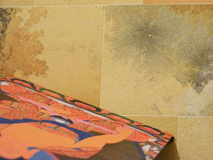 Close-up van kalksteen uit Solnhofen met fascinerende insluitsels