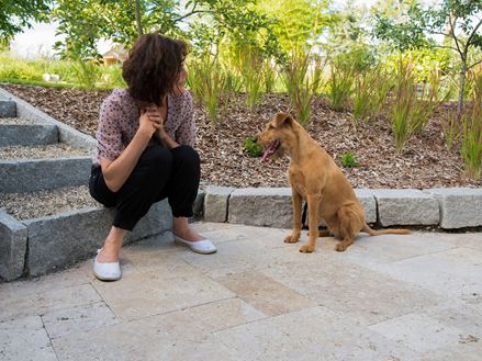 Mensen en honden genieten van de prachtige travertijnen vloer