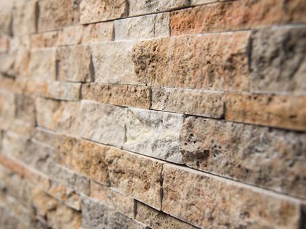 Close-up van de gevelsteen van Scabas